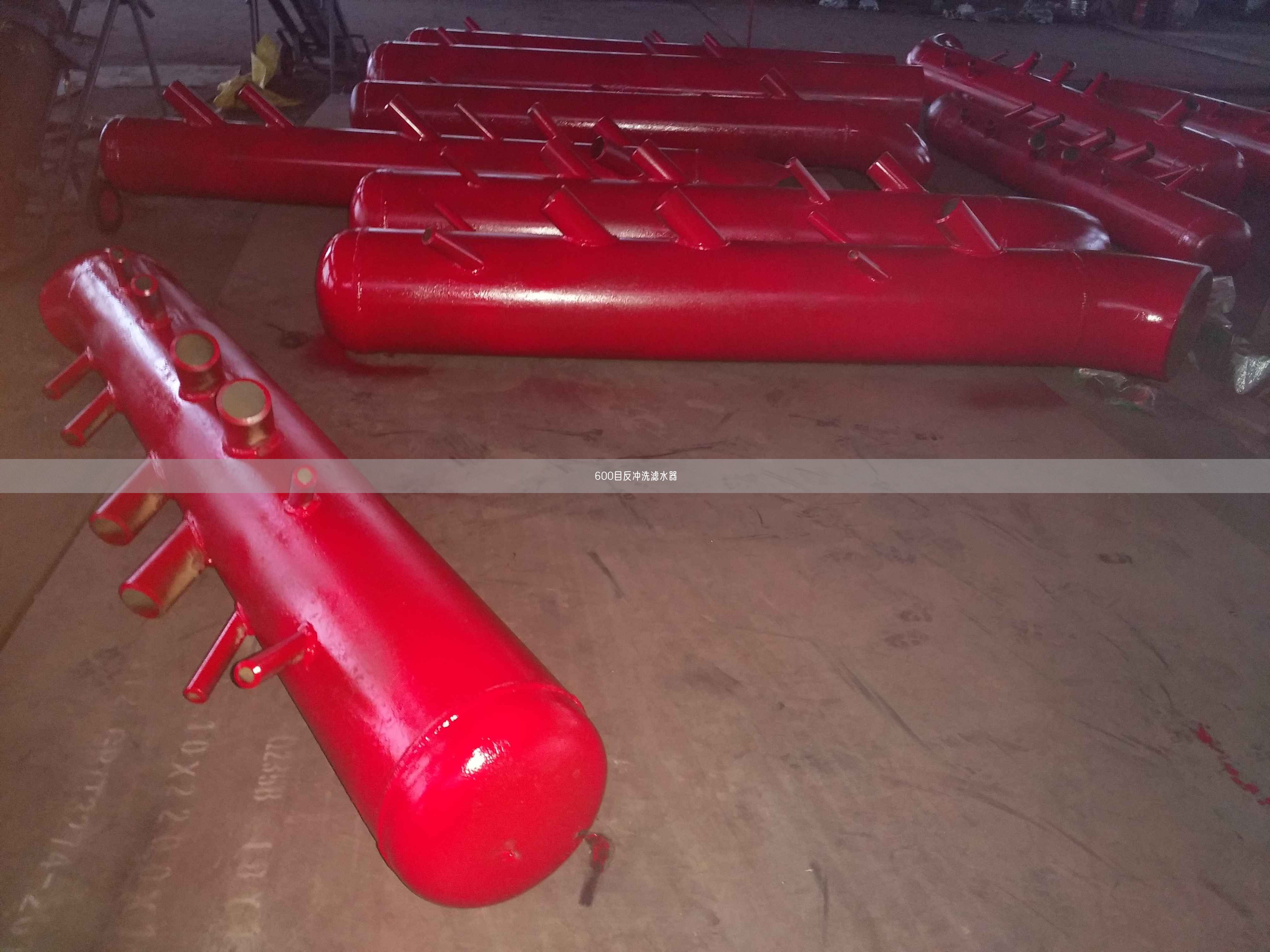 600目反沖洗濾水器