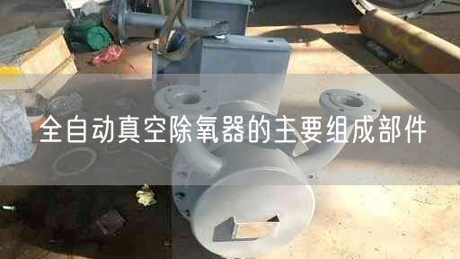 全自動(dòng)真空除氧器的主要組成部件