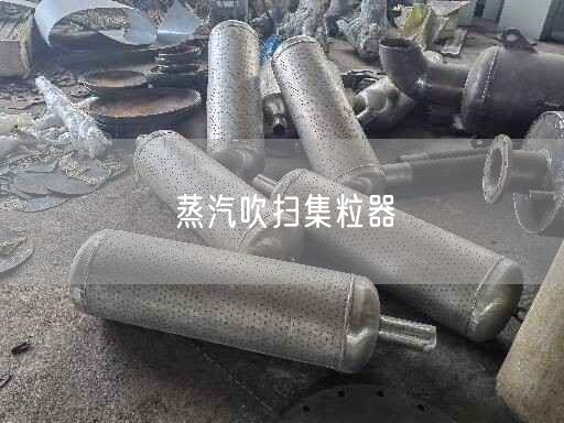 蒸汽吹掃集粒器