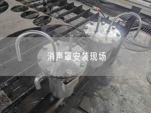 消聲罩安裝現(xiàn)場(chǎng)