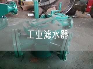 工業(yè)濾水器