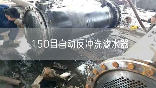 150目自動反沖洗濾水器