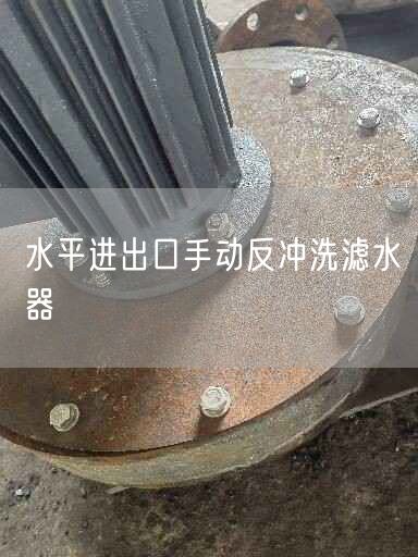 水平進(jìn)出口手動(dòng)反沖洗濾水器