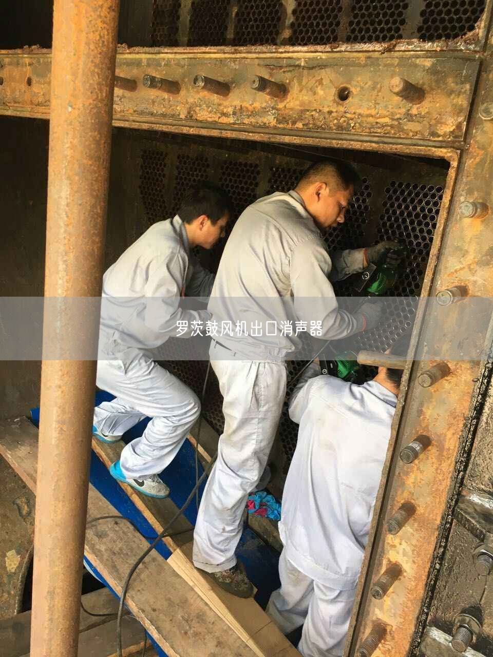 羅茨鼓風(fēng)機(jī)出口消聲器