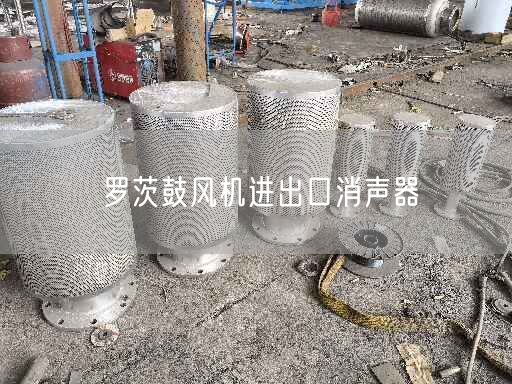 羅茨鼓風(fēng)機(jī)進(jìn)出口消聲器
