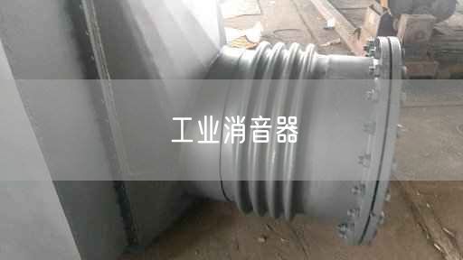 工業(yè)消音器