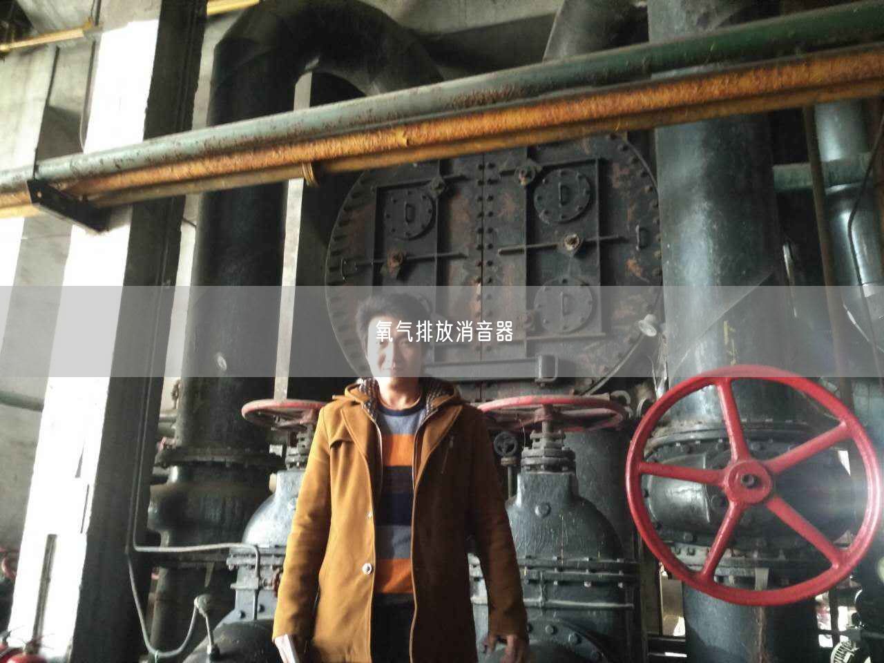 氧氣排放消音器