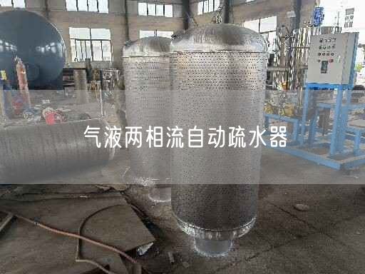 氣液兩相流自動疏水器