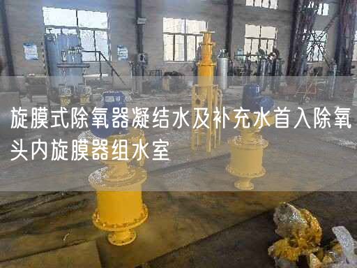 旋膜式除氧器凝結(jié)水及補充水首入除氧頭內(nèi)旋膜器組水室