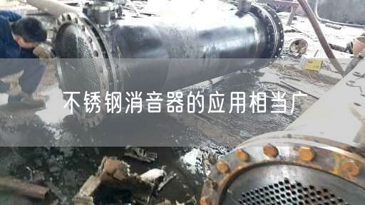 不銹鋼消音器的應(yīng)用相當(dāng)廣