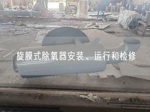 旋膜式除氧器安裝、運(yùn)行和檢修
