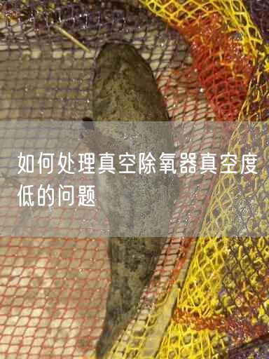 如何處理真空除氧器真空度低的問題